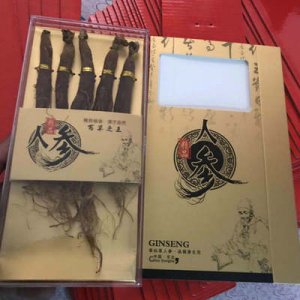 煲湯滋補無糖紅參白參OEM/ODM定制代加工