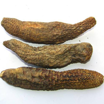 批發零售 新疆特產管花肉蓯蓉硬大蕓切片泡酒泡茶中藥材沙漠人參OEM/ODM代加工