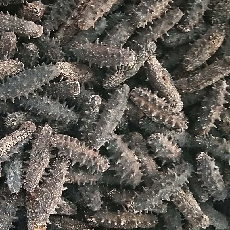 淡干海參批發可OEM/ODM代工