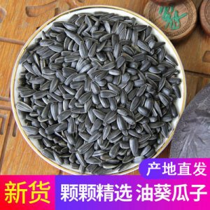 秋鄉(xiāng)油葵500g瓜子年貨小瓜子OEM代加工