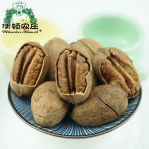 新貨碧根果生美國山核桃長壽果老人孕婦小孩零食堅果炒貨干果原味貼牌OEM/ODM