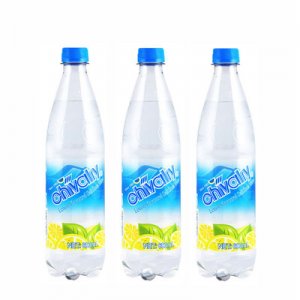 雪菲力鹽汽水600ml*24瓶/整箱發貼牌定制代加工