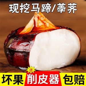 即食珍珠小馬蹄果OEM/ODM