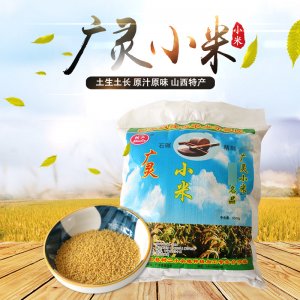 廣靈黃小米OEM/ODM