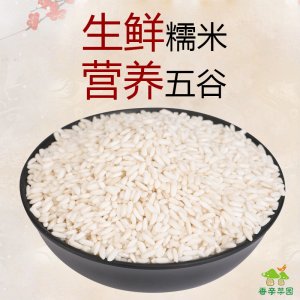 香親菜園 湖北糯米可OEM/ODM代工