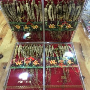東北吉林長白山特產小林下參貼牌OEM/ODM