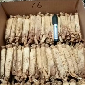 長白山高麗參6年根紅參OEM/ODM代加工