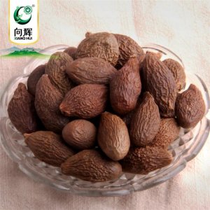 向輝胖大海100克/瓶 潤喉茶可OEM/ODM代工