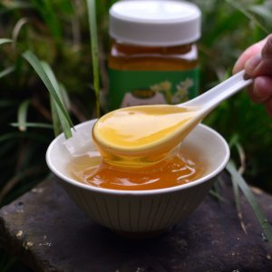 枇杷蜜貼牌OEM/ODM