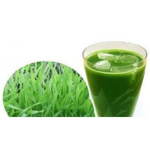 田園蔬菜濃湯固體飲料代加工貼牌OEM/ODM