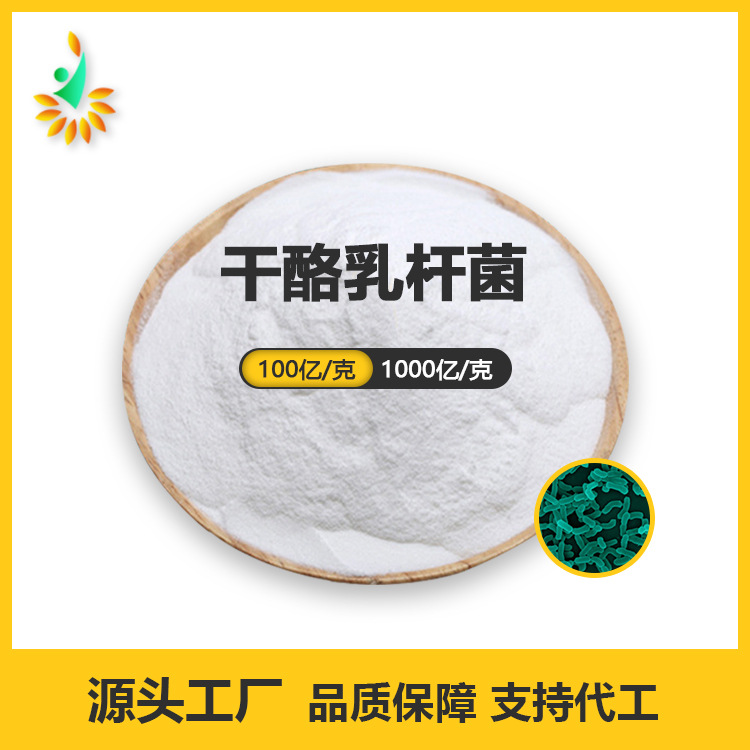 干酪乳桿菌可OEM/ODM代工