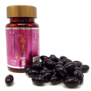 惠本雨生紅球藻30克OEM代加工