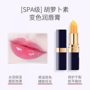 廣州蕾黛化妝品有限公司