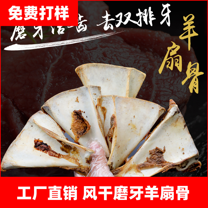 南昌秋田寵物有限公司