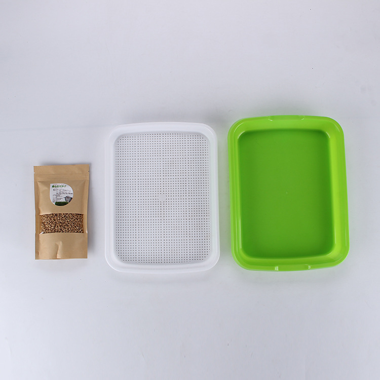 貓草種子水培種植套裝OEM代加工