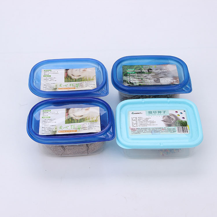 貓草種子套裝零食植物可OEM/ODM代工