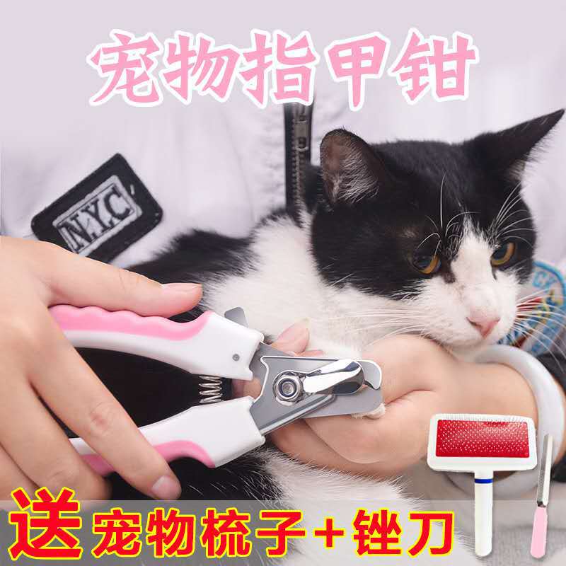 寵物清潔美容剪OEM/ODM代加工