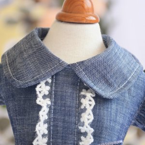 狗狗衣服春夏公主裙泰迪衣服蝴蝶結裙子寵物衣服春夏新款裙子OEM/ODM代加工