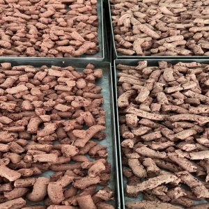 凍干生骨肉代加工貼牌OEM/ODM