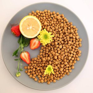 高營養(yǎng)狗糧OEM代加工 高營養(yǎng)狗糧OEM代加工