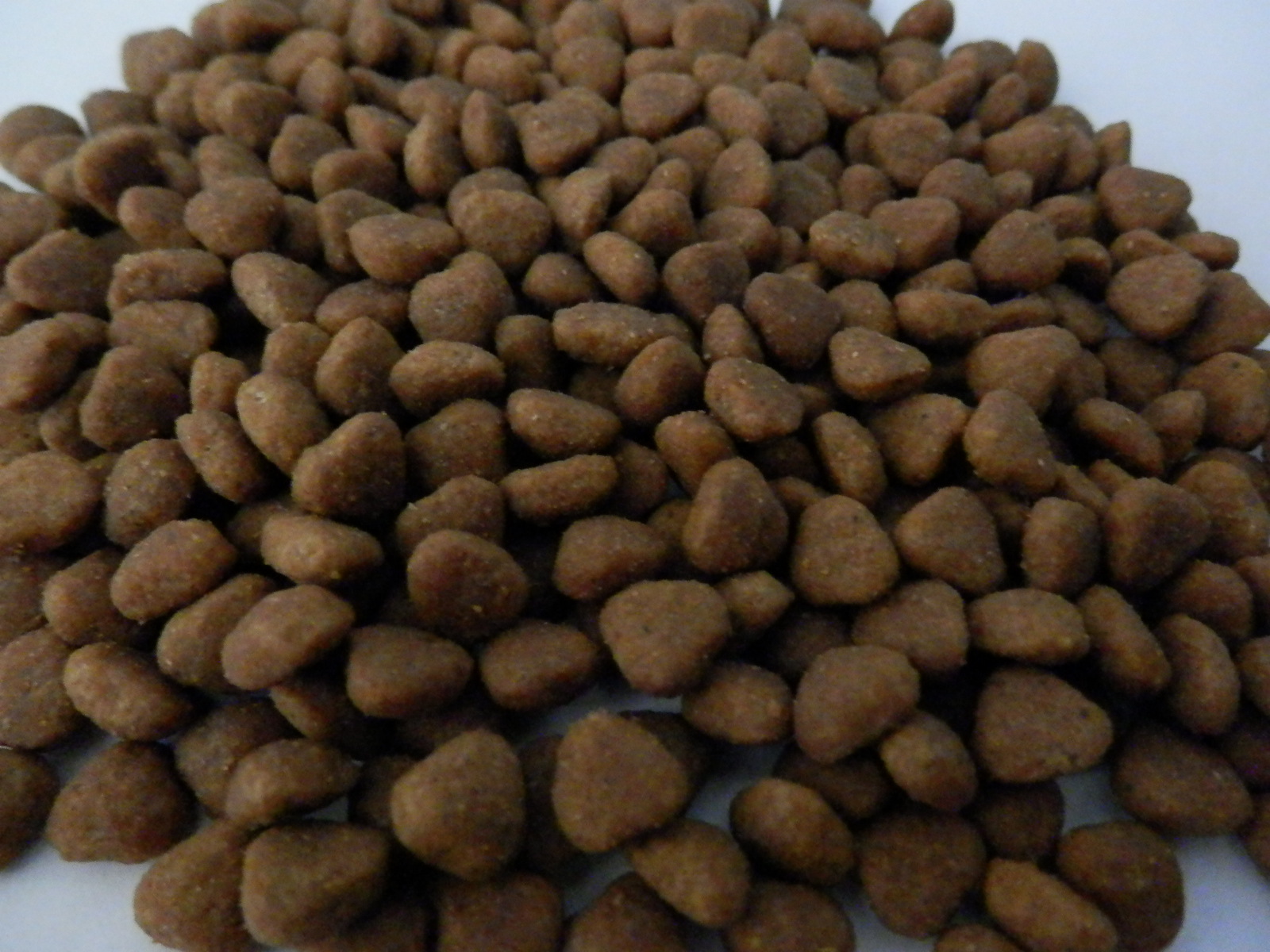 幼犬成犬鮮肉糧無谷糧凍干狗糧OEM/ODM定制代加工