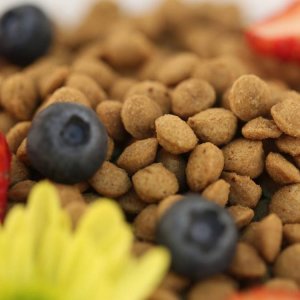 貝可恩營養犬糧代加工貼牌OEM/ODM 貝可恩營養犬糧代加工貼牌OEM/ODM