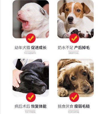 一站式OEM寵物狗狗營養膏代加工貼牌源頭工廠-預約可領樣品