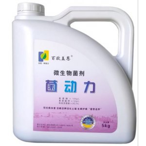 果樹蔬菜用生根菌肥貼牌OEM/ODM