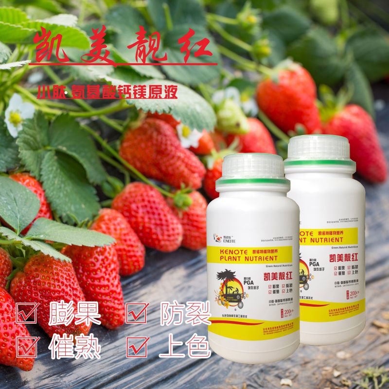 水溶性氨基酸鈣鎂原液可OEM/ODM代工