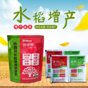 水稻增產葉面肥OEM/ODM代加工