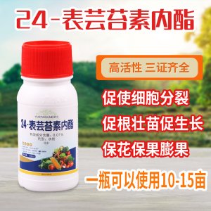 蕓苔素內酯水劑0.01%植物生長調節劑貼牌OEM/ODM