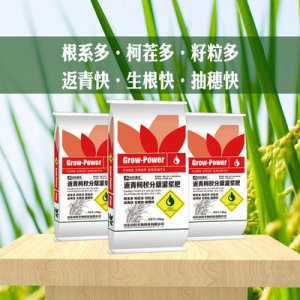 水稻肥OEM/ODM定制代加工