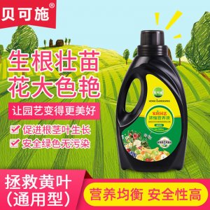 植物花卉營(yíng)養(yǎng)液 花肥料貼牌OEM/ODM