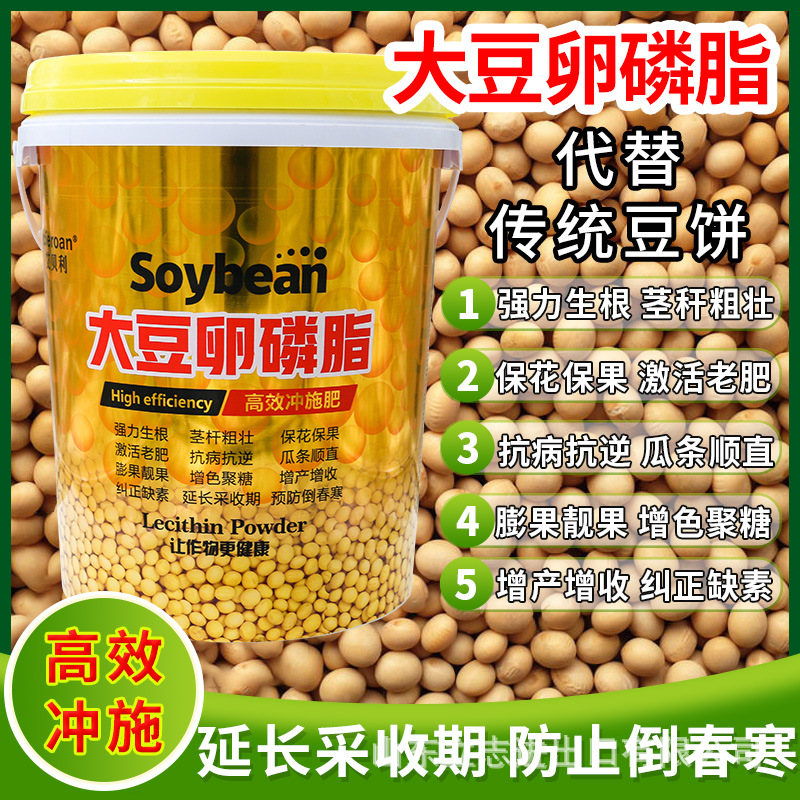 山東立志進出口有限公司