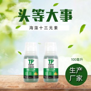 海藻十三元素OEM/ODM定制代加工