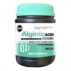 山東國正農業發展有限公司