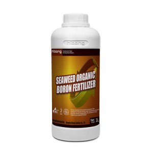 海藻硼肥貼牌OEM/ODM