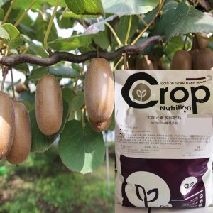 大量元素水溶肥料OEM代加工