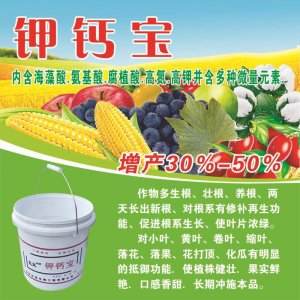 鉀鈣寶水溶性桶肥代加工貼牌OEM/ODM