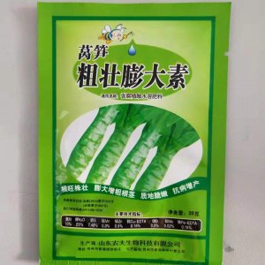 山東農(nóng)夫萵筍粗壯膨大素貼牌OEM/ODM