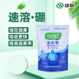 綠隴 四水八硼酸鈉貼牌OEM/ODM
