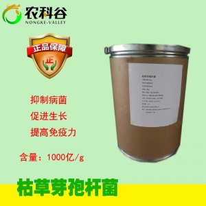 枯草芽孢桿菌貼牌OEM/ODM