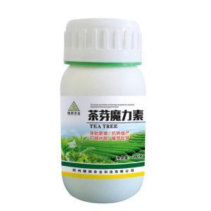 茶樹葉面肥貼牌定制代加工