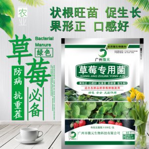 草莓專用菌代加工貼牌OEM/ODM