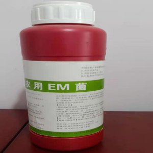 水谷欣種植業農用EM菌OEM代加工