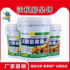 濰坊萬泉農化有限公司