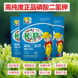 康普森磷酸二氫鉀OEM/ODM代加工