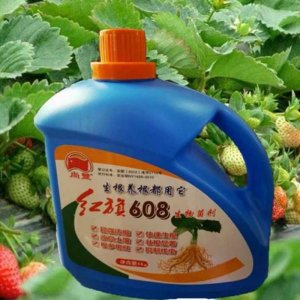 生根壯苗劑OEM代加工