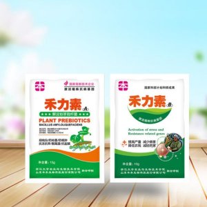 蔬菜瓜類抑線蟲肥料貼牌OEM/ODM