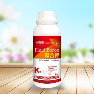 山東豐本生物科技股份有限公司